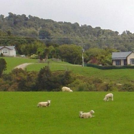 Papatowai Hilltop Accommodation Catlins المظهر الخارجي الصورة