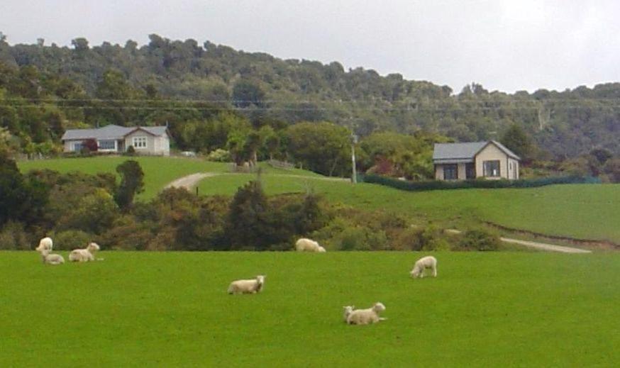 Papatowai Hilltop Accommodation Catlins المظهر الخارجي الصورة