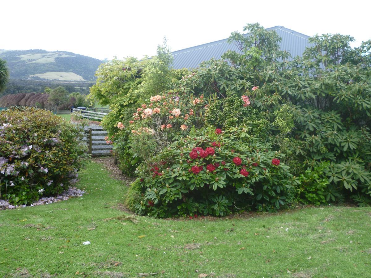 Papatowai Hilltop Accommodation Catlins المظهر الخارجي الصورة