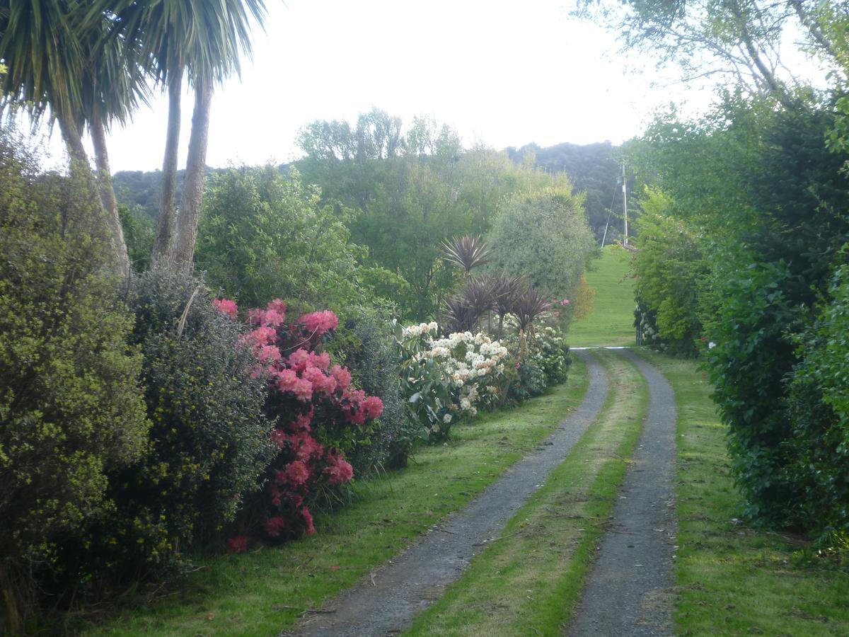 Papatowai Hilltop Accommodation Catlins المظهر الخارجي الصورة